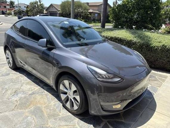 TESLA MODEL Y 2021 5YJYGDEE4MF062681 image